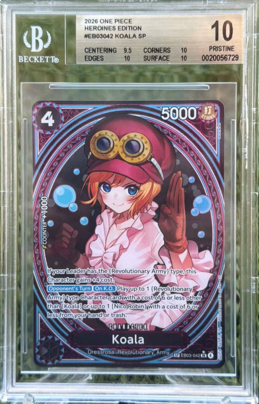 Koala SP (EB03) BGS 10